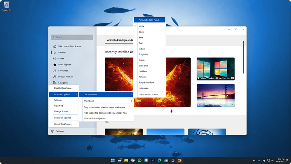 WindowBlinds 11 配置介面